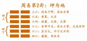 易經(jīng)第二卦坤卦詳解