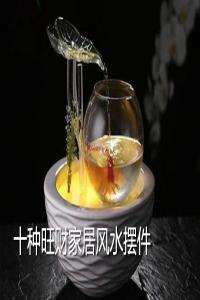 十種旺財家居風水擺件