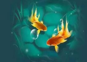 風水魚養幾條好旺財