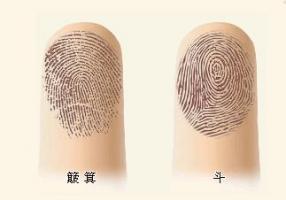 根據指紋，為你算命，解密手指頭下的人生秘密