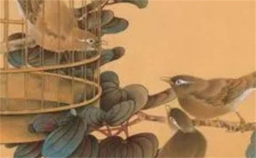手機號碼招桃花數(shù)字 女性手機號桃花運最強