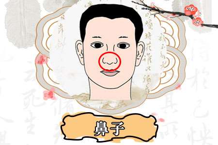 鼻孔外露的財運(yùn)如何,容易破財?shù)拿嫦? /></p><strong><label style=
