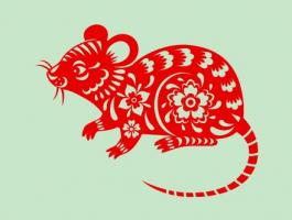 屬鼠人2024年運勢運程每月運程