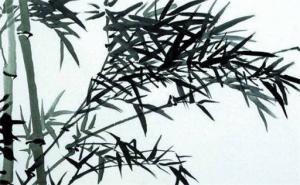 數字能量學手機號解析 手機號碼看性格事業財運