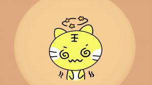 12星座喜歡什么動物