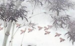 為啥手機號0和5不能選 手機號最旺財?shù)奈矓?shù)