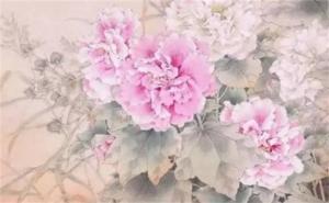 手機尾號為00代表什么 手機尾號5555代表什么