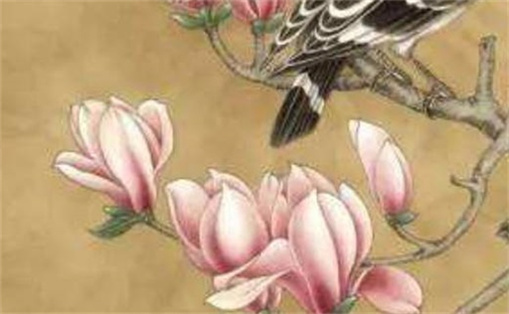 2024年農歷正月初三出生的人命運如何 運勢開通福祿豐盈
