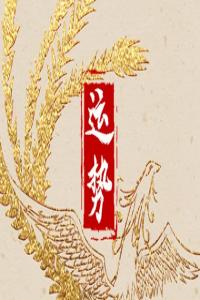 2024年大年初三十二生肖運勢 運氣最佳生肖是什么