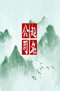 龍年開化工企業比較有牌面的名字