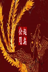 高端有格調的攝影公司名字合集