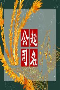 2024甲辰年家具公司名稱大全