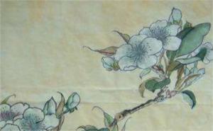 男人能不能用19和87的號碼 越用越好的數字號碼