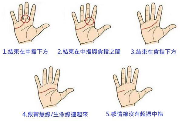 如何從感情線看人的性格與適合從事的職業