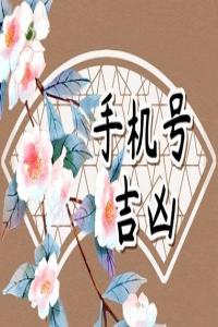 號碼吉兇測算,絕命磁場加伏位磁場，讓你兢兢業(yè)業(yè)還缺錢。