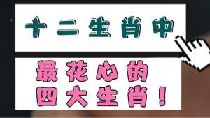 十二生肖男女誰最花心
