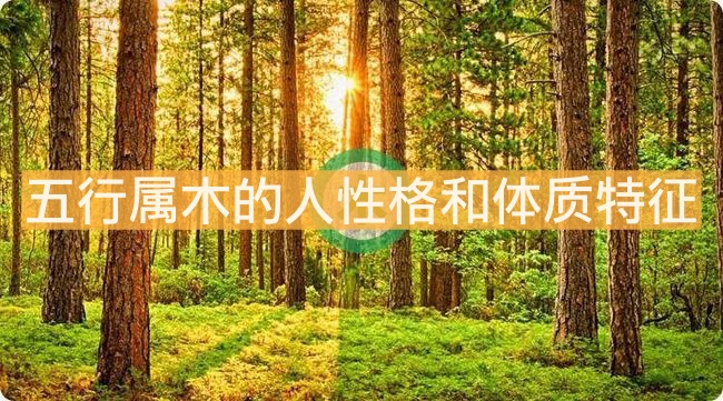 五行屬木的人性格和體質特征有哪些