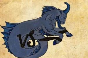 摩羯座運(yùn)勢2024整體運(yùn)勢 摩羯座2024每月運(yùn)勢詳解