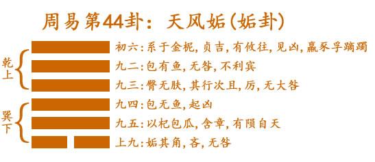 周易第44卦_姤卦(天風姤)_乾上巽下_姤卦詳解
