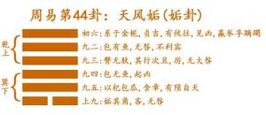 易經(jīng)第四十四卦姤卦詳解
