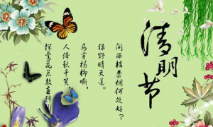 卜算子算命網