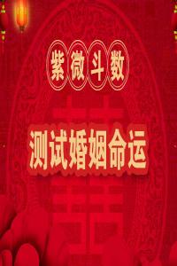 紫微斗數看婚姻最全版
