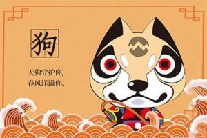 屬狗2024年整體運勢，屬狗2024年的運勢及運程！