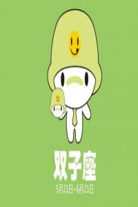 雙子座2024年的全年運勢 2024年雙子座全年運勢詳解