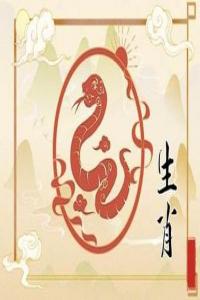 2024屬蛇的運(yùn)勢和財(cái)運(yùn)怎么樣