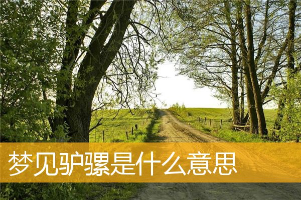 夢見驢騾怎么回事 夢見驢騾有什么預兆
