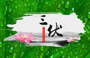 卜算子算命網