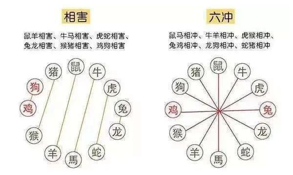 生肖相沖真的不能在一起嗎，怎么化解？
