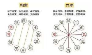 生肖相沖真的不能在一起嗎，怎么化解？