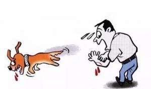 夢見被夠狗咬出血了預(yù)示著什么