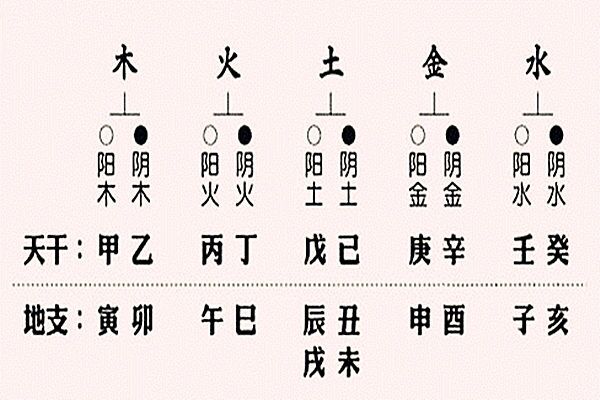 八字天干地支代表什么意思和含義