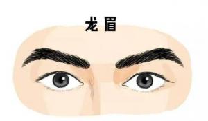 龍眉的男人命運，男人龍眉面相！