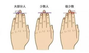 無名指比食指長的男人代表什么