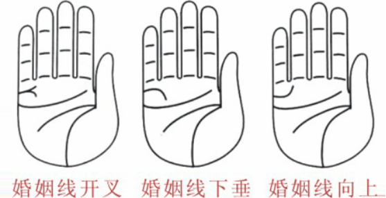 婚姻線分叉代表什么，婚姻線分叉是什么意思？