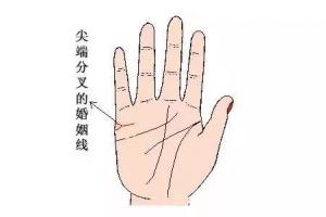 婚姻線分叉一定會離婚嗎?