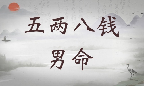 五兩八錢(qián)男命詳細(xì)解釋，五兩八錢(qián)男命一生總結(jié)！