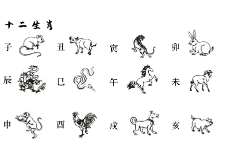 天干地支五行對(duì)照表十二生肖