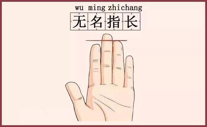 無名指比食指長的男人命運如何