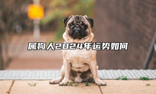 屬狗人2024年全年運勢運程,屬狗人2024年每月運勢及運程詳解! 屬狗人2024年全年運勢運程,屬狗人2024年每月運勢及運程詳解!