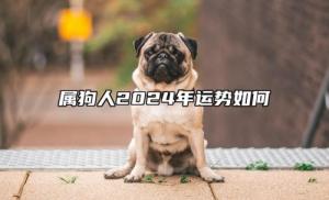 屬狗人2024年全年運勢運程，屬狗人2024年每月運勢及運程詳解！