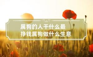 屬狗人做什么行業發財
