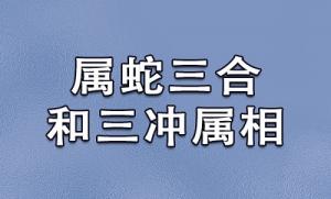屬猴三合和三沖屬相