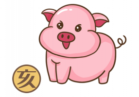 屬豬人2024年全年運勢及運程，屬豬人2024年每月運勢及運程！