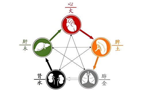 五行內臟對照表，五行內臟對應關系！