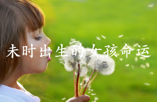 未時出生的女孩命運