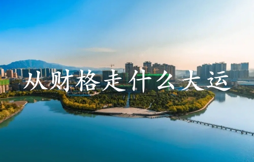 從財格走什么大運最好 從財格走什么大運最好